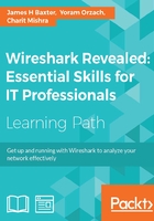 Wireshark Revealed：Essential Skills for IT Professionals在线阅读