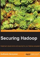 Securing Hadoop在线阅读