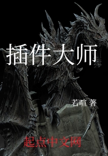 插件大師