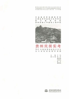 贵州民居实考：2013中国高等院校设计专业设计名校实验教学课题