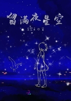 留滿夜星空在線閱讀