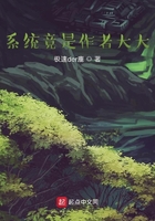 怼人狐狸和设定破坏者的冒险故事