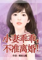 老婆乖乖，不準離婚！在線閱讀