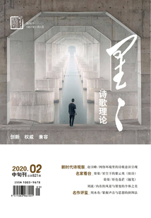 星星·诗歌理论（2020年第2期）