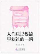 人們只記得流星劃過的一瞬在線閱讀