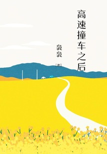高速撞车之后