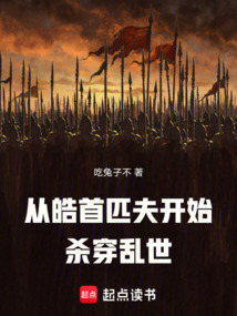 從皓首匹夫開始殺穿亂世
