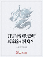 开局帝尊境师尊就被附身？在线阅读