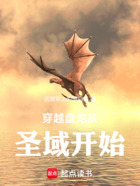 穿越盘龙从圣域开始在线阅读