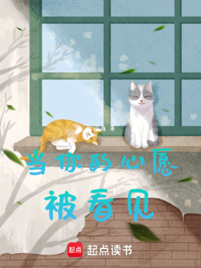 当你的心愿被看见在线阅读