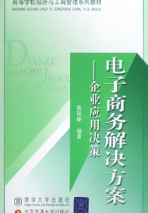电子商务解决方案:企业应用决策