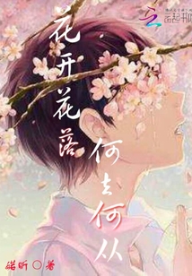 花开花落，何去何从