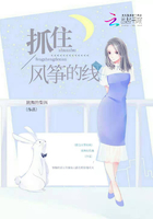 抓住風(fēng)箏的線在線閱讀