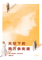 天空下的两万条街道在线阅读