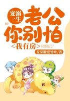 寵溺一生：老公你別怕，我有房在線閱讀