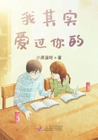 我其實愛過你的在線閱讀