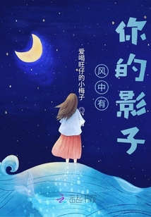 風中有你的影子