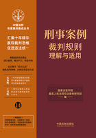 中国法院年度案例集成丛书:刑事案例裁判规则理解与适用在线阅读