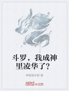 斗罗,我成神里凌华了?在线阅读