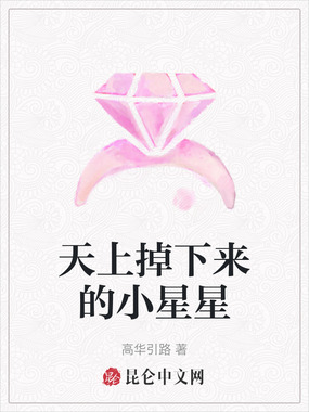 天上掉下来的小星星在线阅读