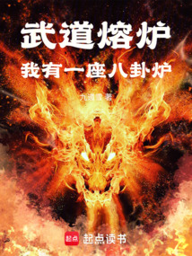 武道熔炉:我有一座八卦炉 cover