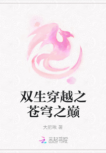 雙生穿越之蒼穹之巔