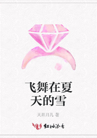 飛舞在夏天的雪在線閱讀