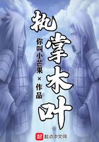 執掌木葉在線閱讀
