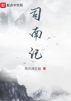 司南記在線閱讀