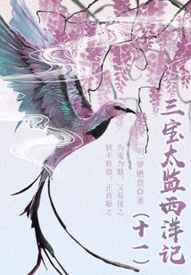 中國(guó)古代奇幻經(jīng)典小說(shuō)：三寶太監(jiān)西洋記（十一）