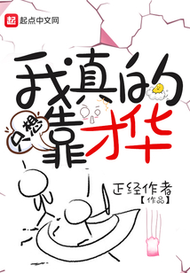 我真的只想靠才华