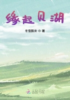 緣起貝湖在線閱讀