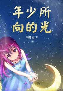 年少所向的光