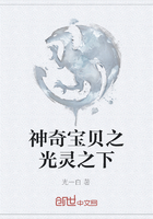 神奇宝贝之光灵之下在线阅读