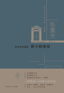 張重光自選集：影子的重量