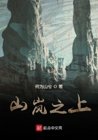 山岚之上在线阅读