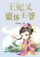 王妃又要休王爺在線閱讀