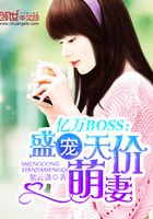 亿万BOSS：盛宠天价萌妻在线阅读