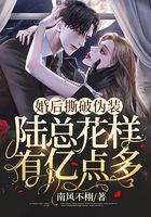 婚后撕破偽裝，陸總花樣有億點(diǎn)多在線閱讀