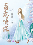 蓄意情深在線閱讀