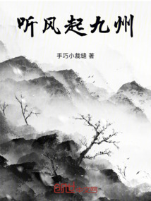 聽風起九州