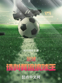 足球：請(qǐng)叫我流浪球王！