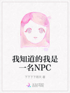 我知道的我是一名NPC