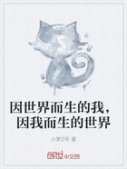 因世界而生的我,因我而生的世界在线阅读