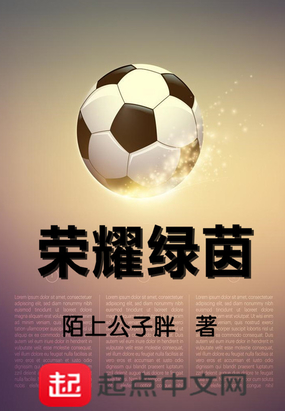 荣耀绿茵在线阅读