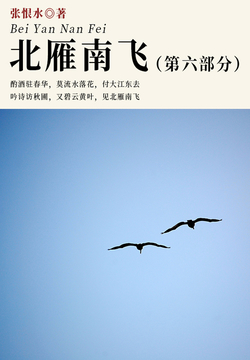 北雁南飛·第六部分(張恨水經典小說)-張恨水-微信讀書