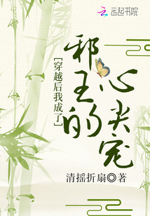 穿越后我成了邪王的心尖寵