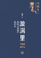 漩涡里：1990—2013我的文化遗产保护史