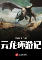 云龙环游记