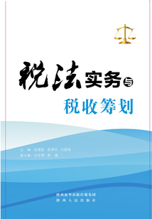稅法實務與稅收籌劃